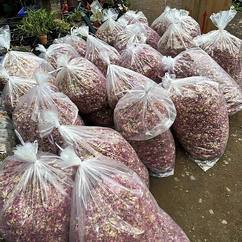 金钗石斛花批发云南紫色石斛干花茶养生茶非鼓槌霍山铁