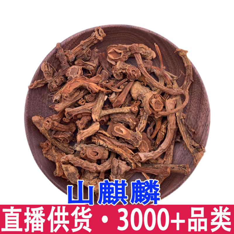 批发山麒麟麒麟竭鹿角草根泡酒