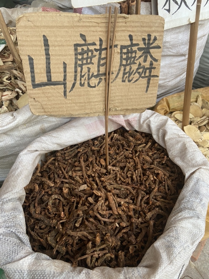 批发山麒麟麒麟竭鹿角草根泡酒