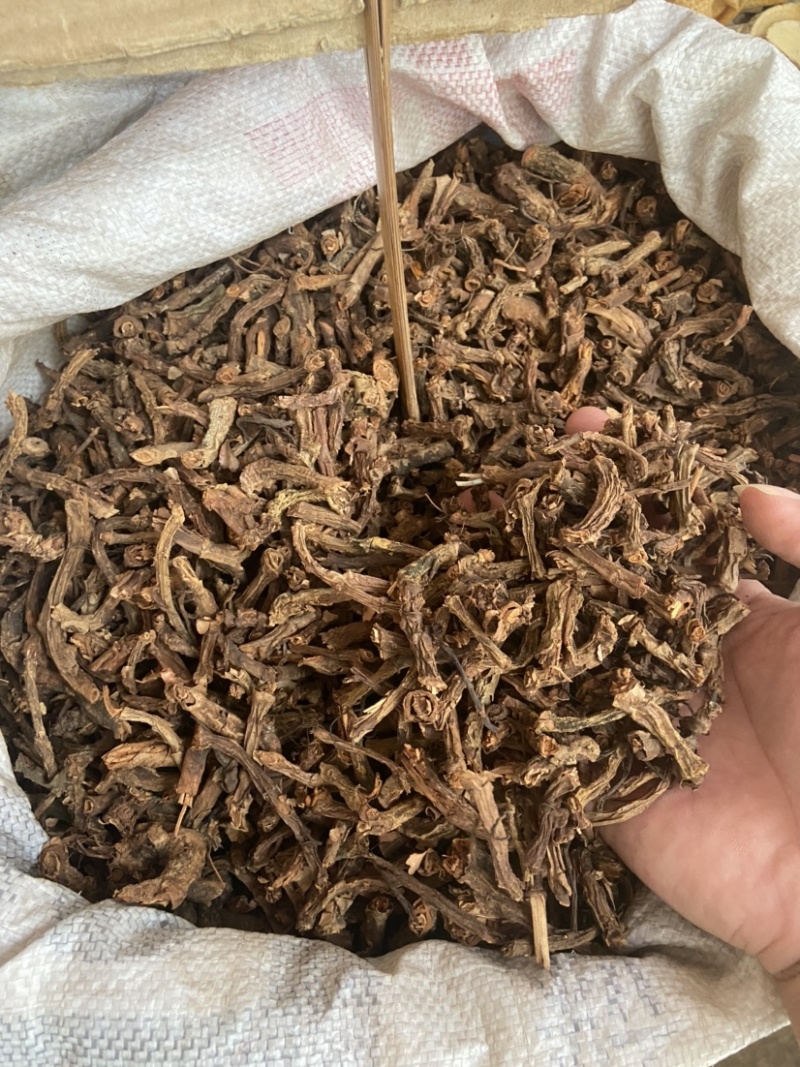 批发山麒麟麒麟竭鹿角草根泡酒