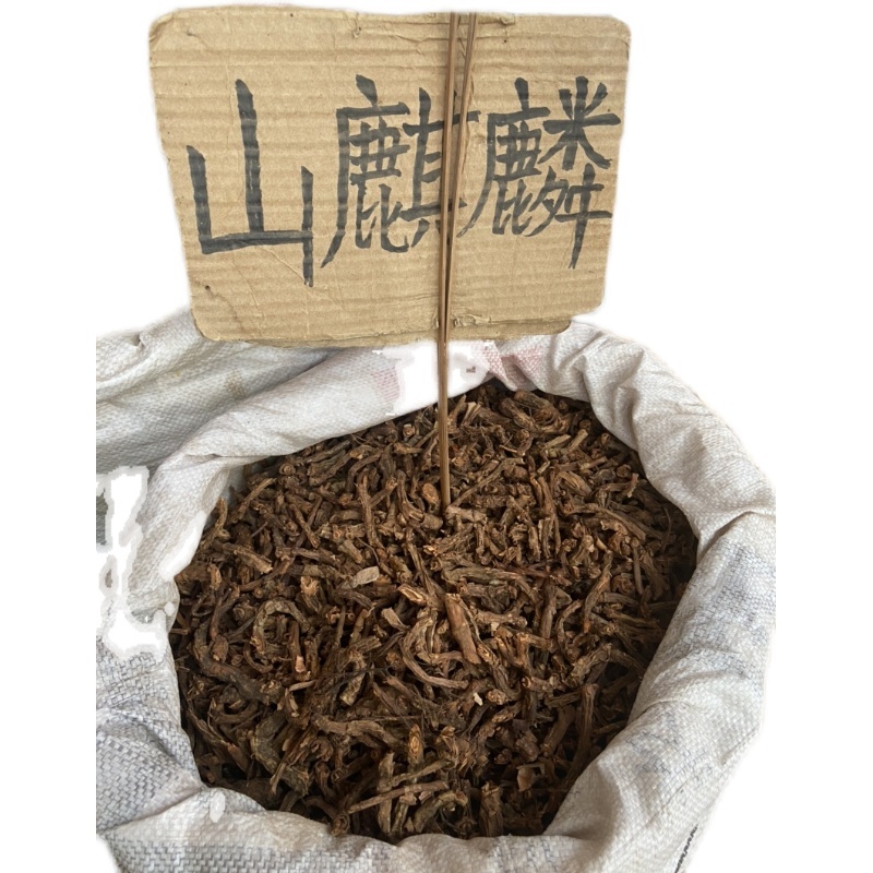 批发山麒麟麒麟竭鹿角草根泡酒
