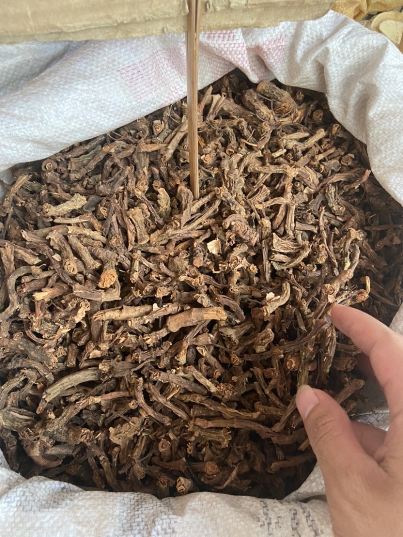 批发山麒麟麒麟竭鹿角草根泡酒