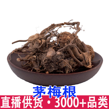 茅梅根三月泡倒生根草杨梅仙人搭桥蛇