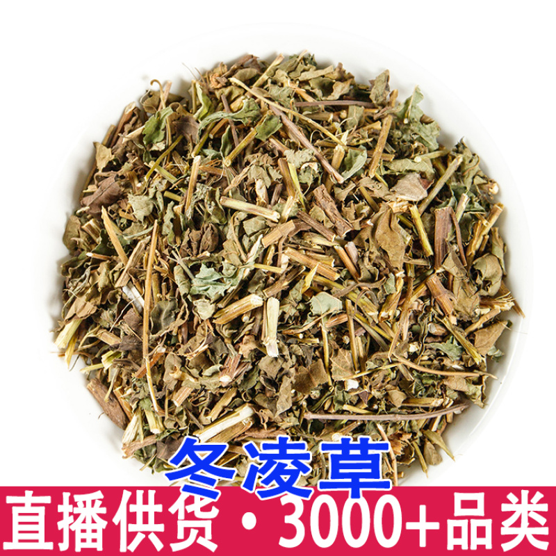 冬凌草广西冰凌草六月令破血丹明镜草批发