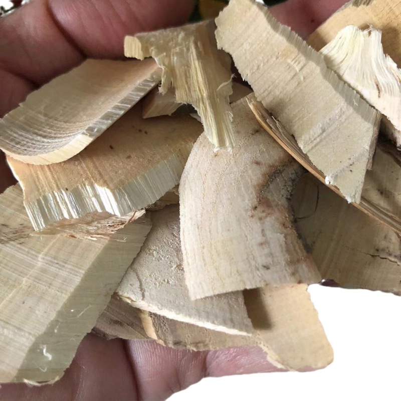 白背根