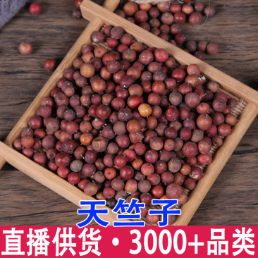 批发天竺子天竺子南天竹子天烛子南天竺子精选优质天竺