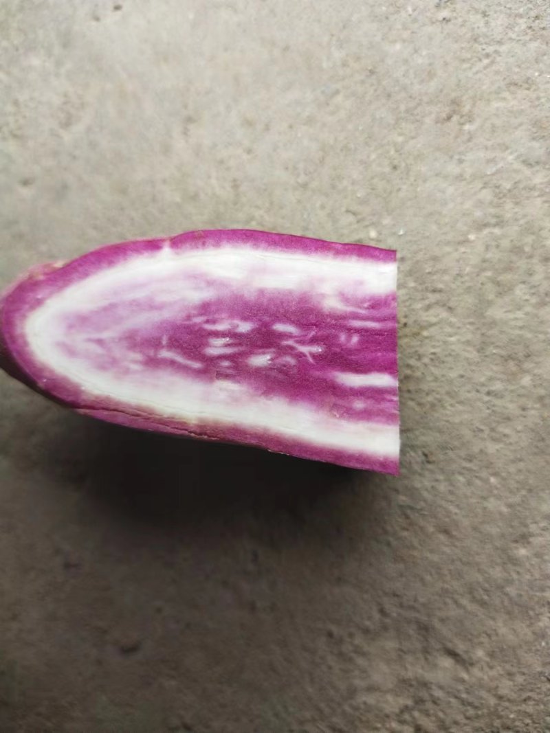 一点红红薯冰激凌红薯粉糯香甜欢迎咨询