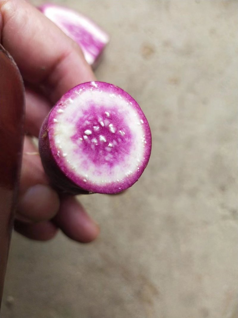 一点红红薯冰激凌红薯粉糯香甜欢迎咨询