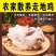 山东聊城椒麻鸡厂家厂家直发保证质量欢迎致电合作