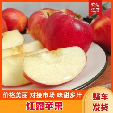 云南红露苹果精品产地直销支持一件代发电商整车待发