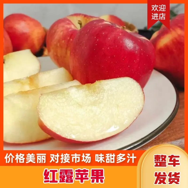 云南红露苹果精品产地直销支持一件代发电商整车待发