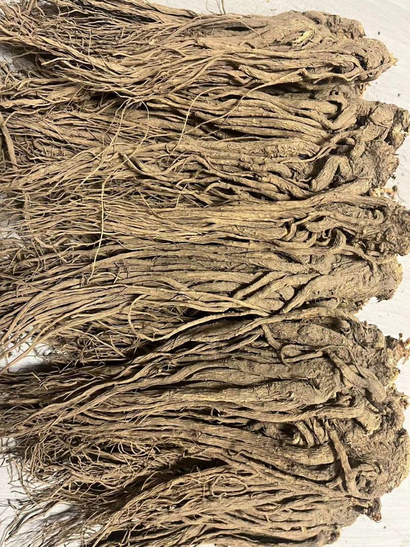 【优选】甘肃当归-长期供应-正品保障-批发优惠新鲜采摘高品质