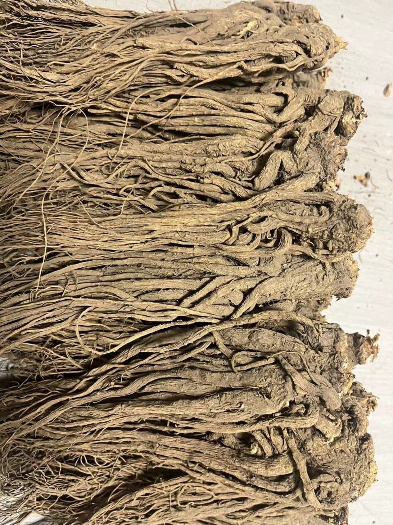 【优选】甘肃当归-长期供应-正品保障-批发优惠新鲜采摘高品质