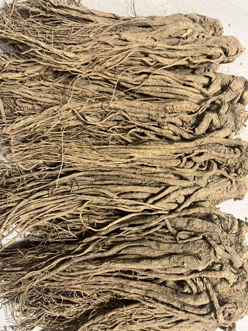 【优选】甘肃当归-长期供应-正品保障-批发优惠新鲜采摘高品质
