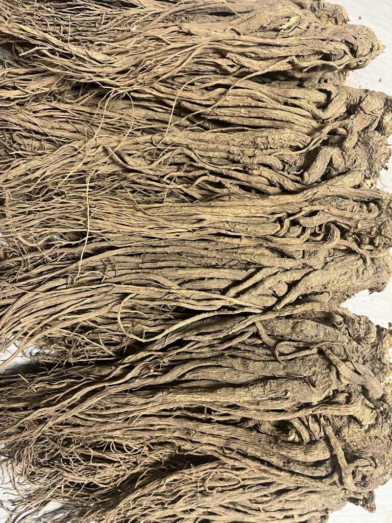 【优选】甘肃当归-长期供应-正品保障-批发优惠新鲜采摘高品质