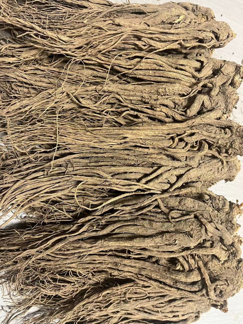 【优选】甘肃当归-长期供应-正品保障-批发优惠新鲜采摘高品质