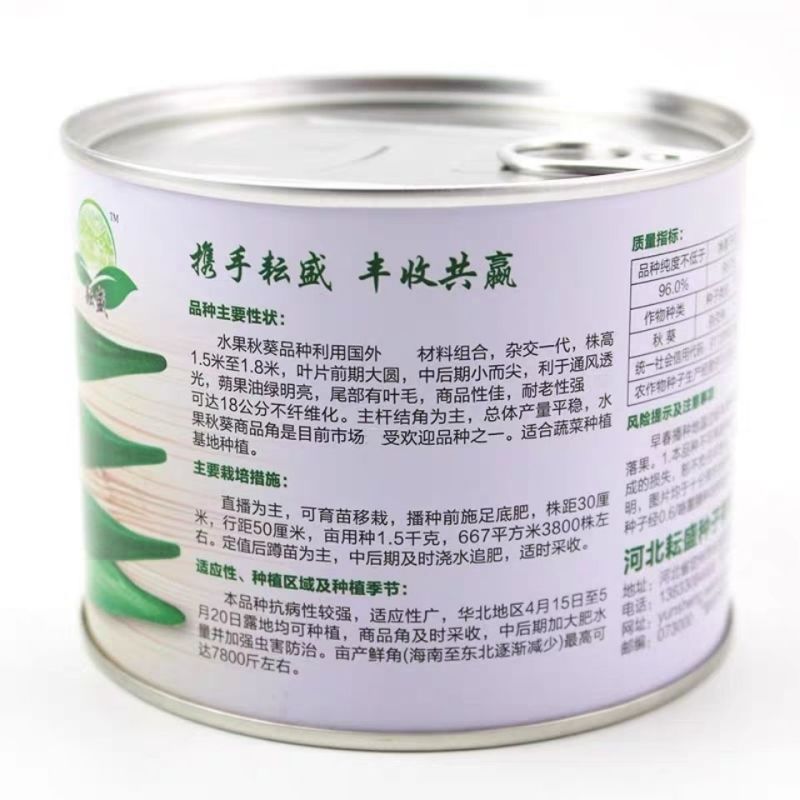 水果秋葵种子蒴果油绿明亮抗病耐老
