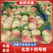 精品桃子北京14号桃子场地发货量大从优质量保证欢迎