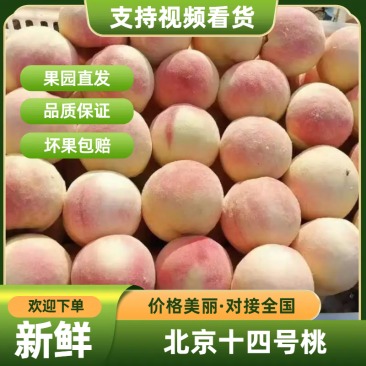 精品桃子北京14号桃子货源充足量大从优质量保证欢迎咨