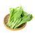 嫩苔1号白菜苔种子主苔粗纤维少味道甜亩产2800kg