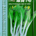 嫩苔1号白菜苔种子主苔粗纤维少味道甜亩产2800kg