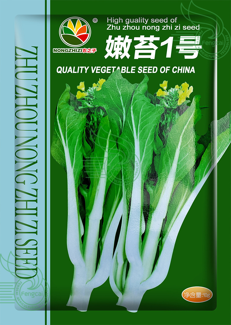 嫩苔1号白菜苔种子主苔粗纤维少味道甜亩产2800kg