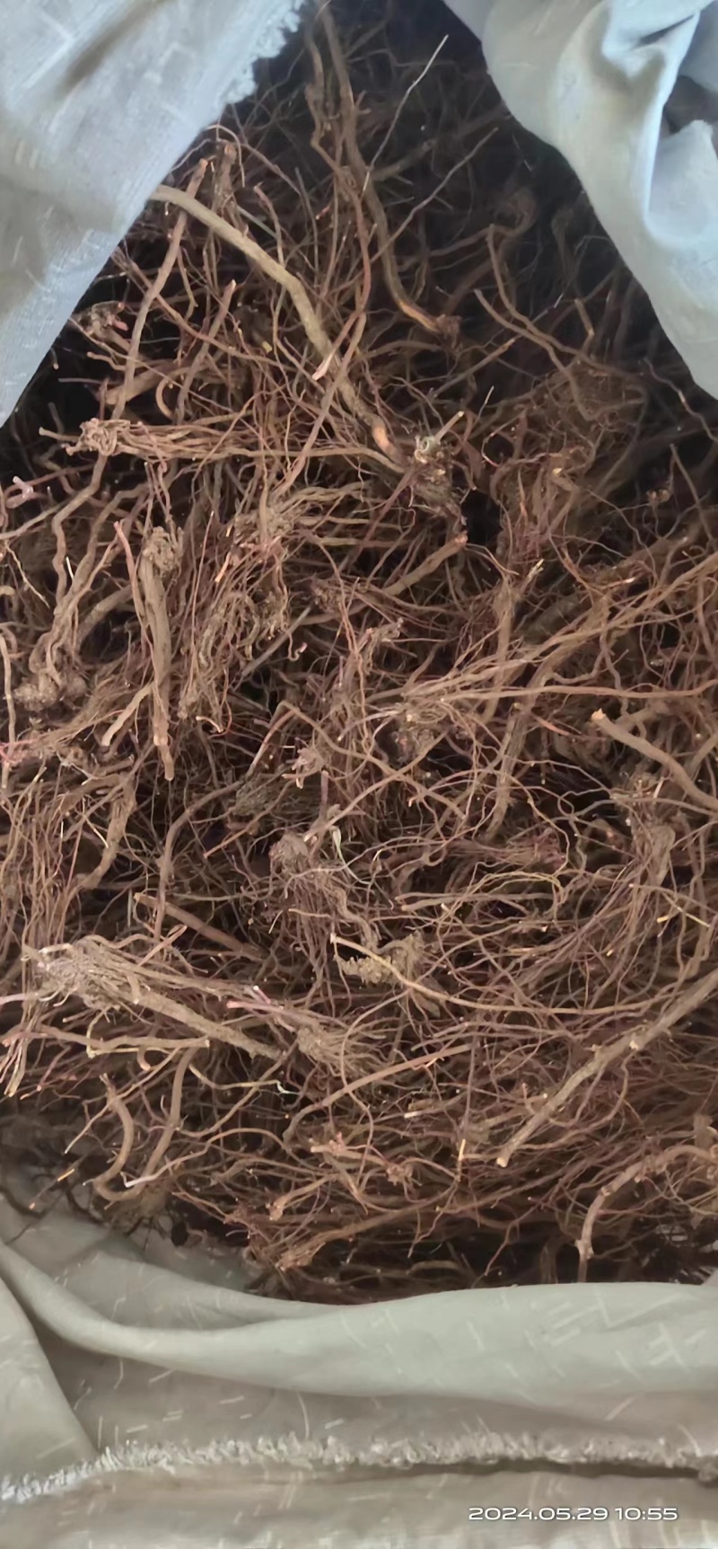 【实力推荐】精品中药材茜草质量保证产地直供量大从优