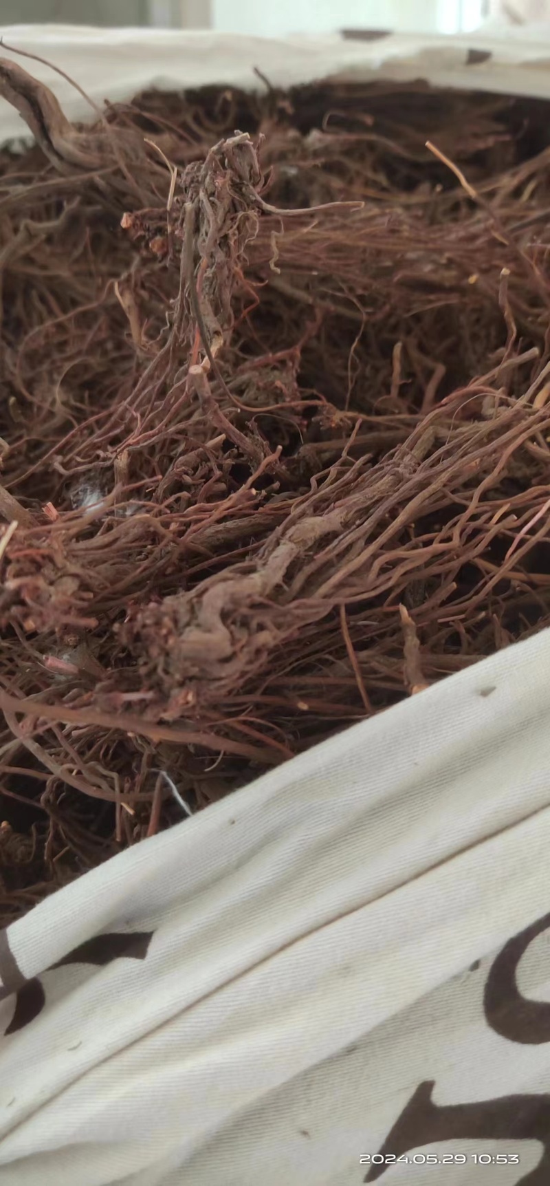【实力推荐】精品中药材茜草质量保证产地直供量大从优