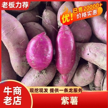 【万亩自销】紫薯紫罗兰红薯常年供应电商商超批发