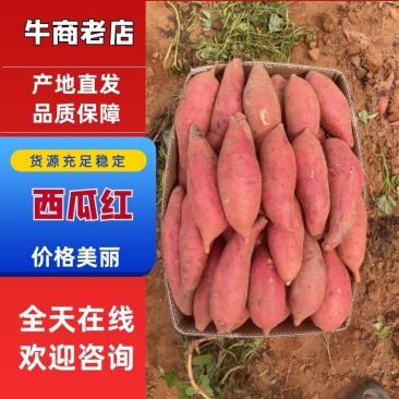 【精准一手货源】西瓜红红薯对接电商市场大量供应