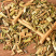 龙葵草龙葵草正品黑豆豆草精选新货