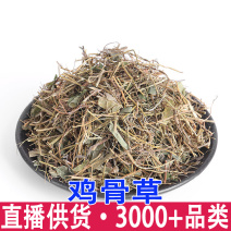 云南中草药材鸡骨草大黄草无硫净货猪腰草量大价优