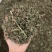 旱莲草墨莲草批发零售新货不熏硫产地货源大货供应量大