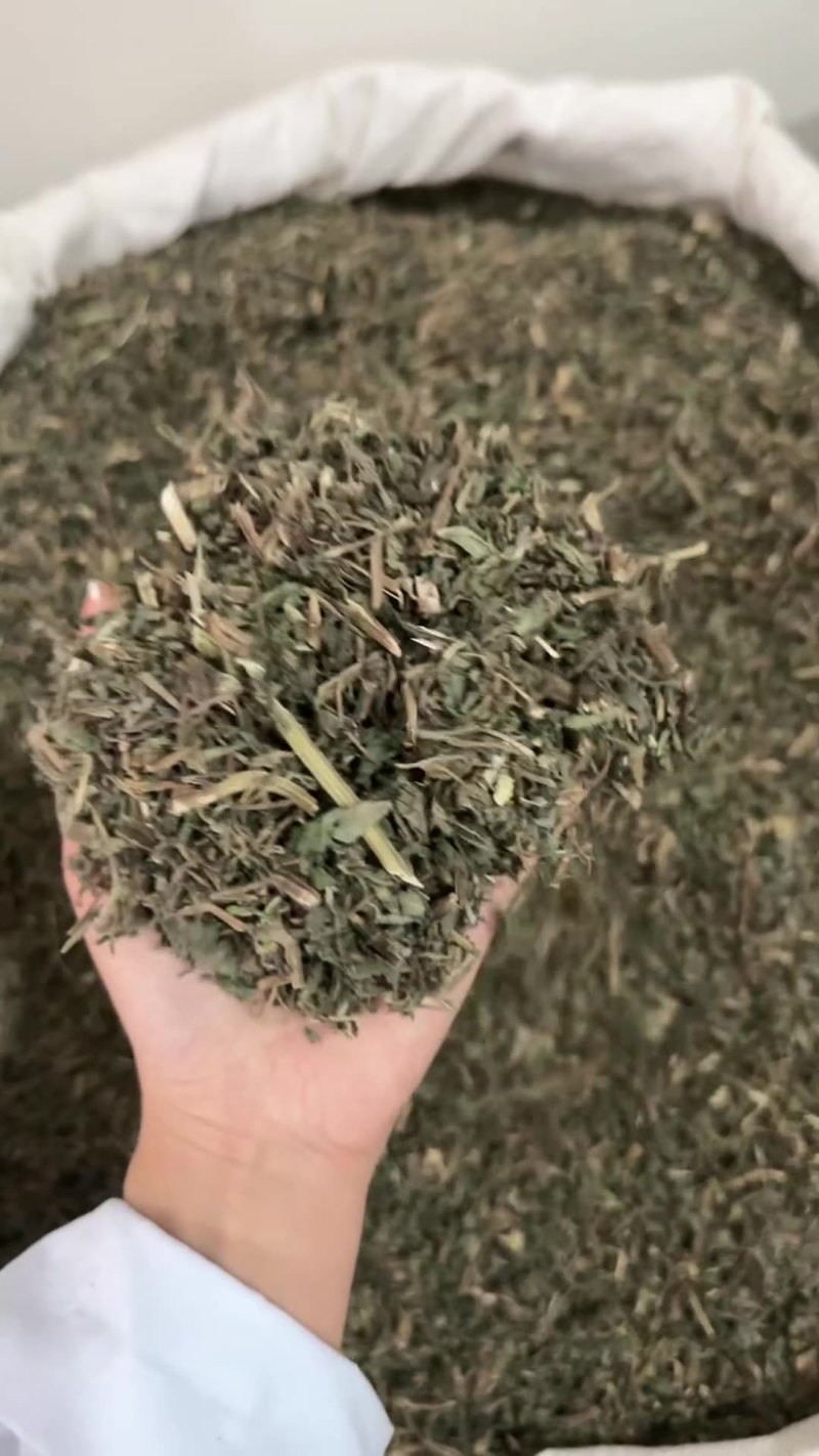 旱莲草墨莲草批发零售新货不熏硫产地货源大货供应量大