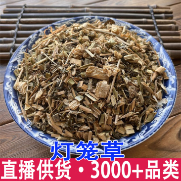 批发灯笼草新货断血流鬼灯笼苦锦灯笼黄姑娘果煮水