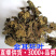 金耳环正品新货土细辛一块瓦南细批发