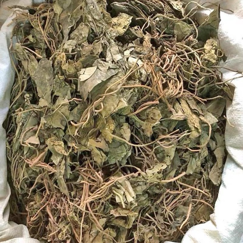金耳环正品新货土细辛一块瓦南细批发