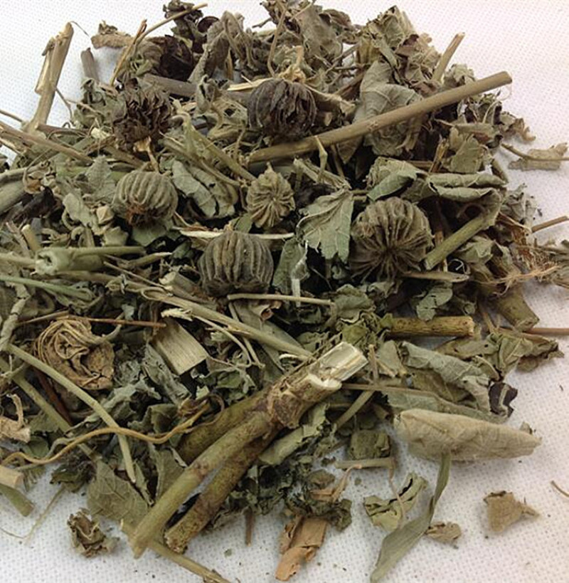 磨盘草新鲜晾晒金花草唐挡草耳响草批发