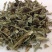 磨盘草新鲜晾晒金花草唐挡草耳响草批发