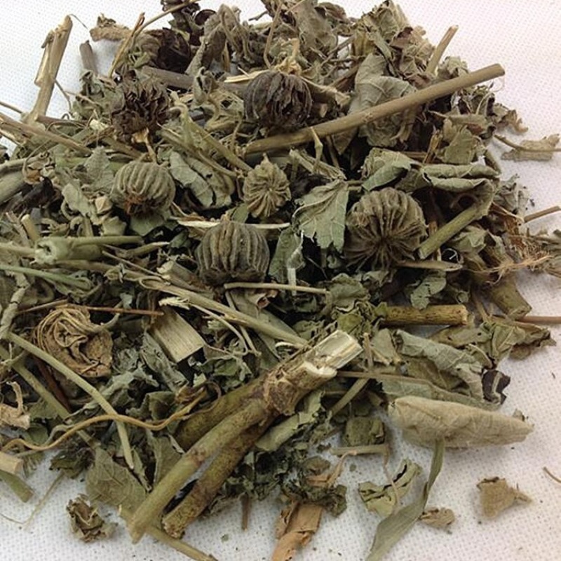 磨盘草新鲜晾晒金花草唐挡草耳响草批发