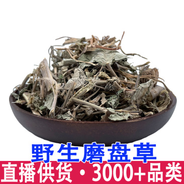 磨盘草新鲜晾晒金花草唐挡草耳响草批发
