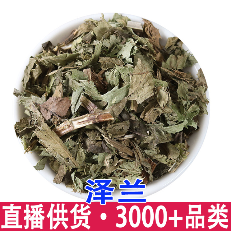 泽兰龙枣水香小泽兰泽兰草干批
