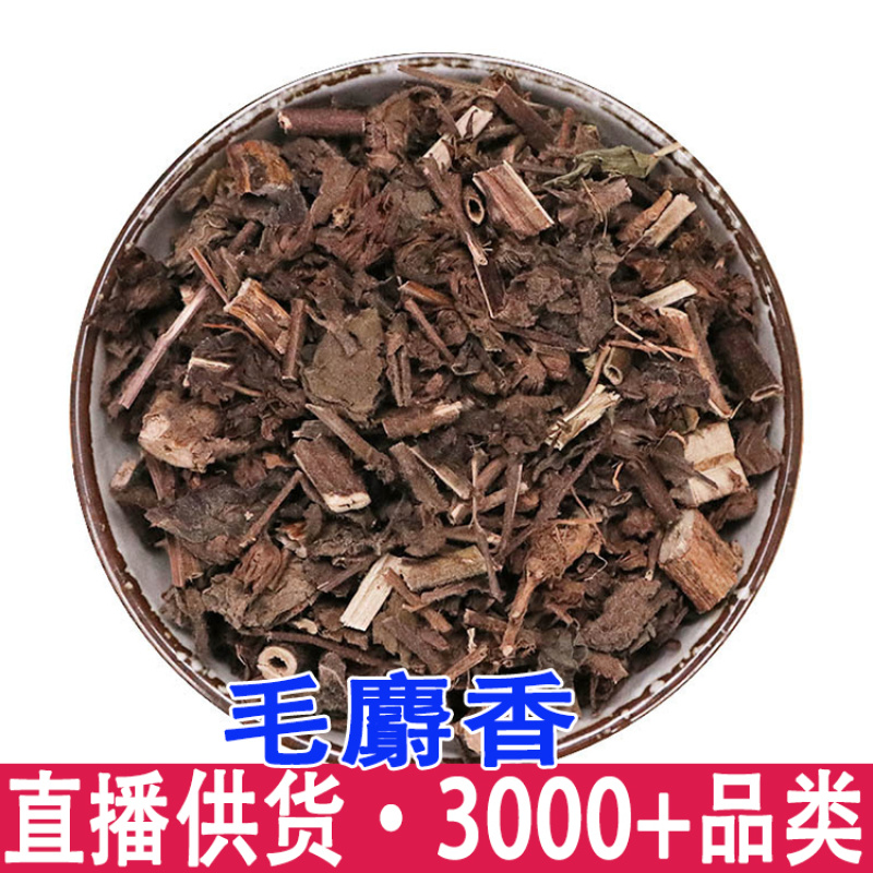 毛射香五凉草饼草酒子草毛麝香辣蓟批
