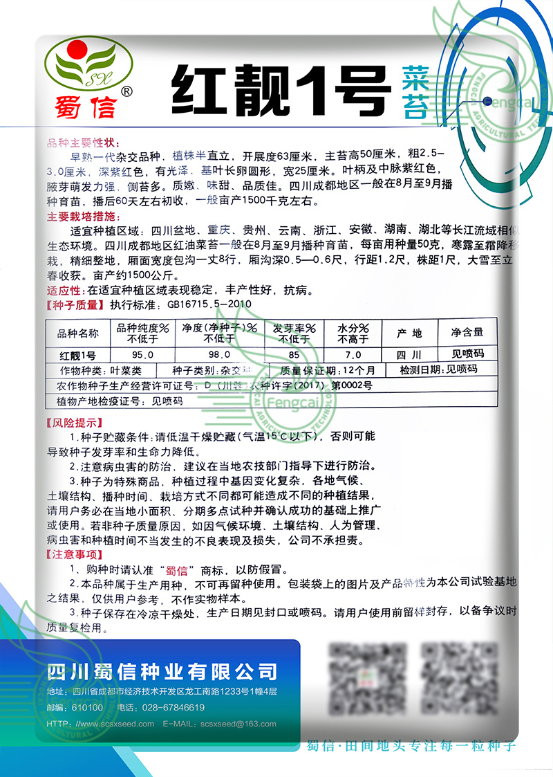 红靓1号菜苔种子红菜苔种子早熟一代杂交品种深紫红色