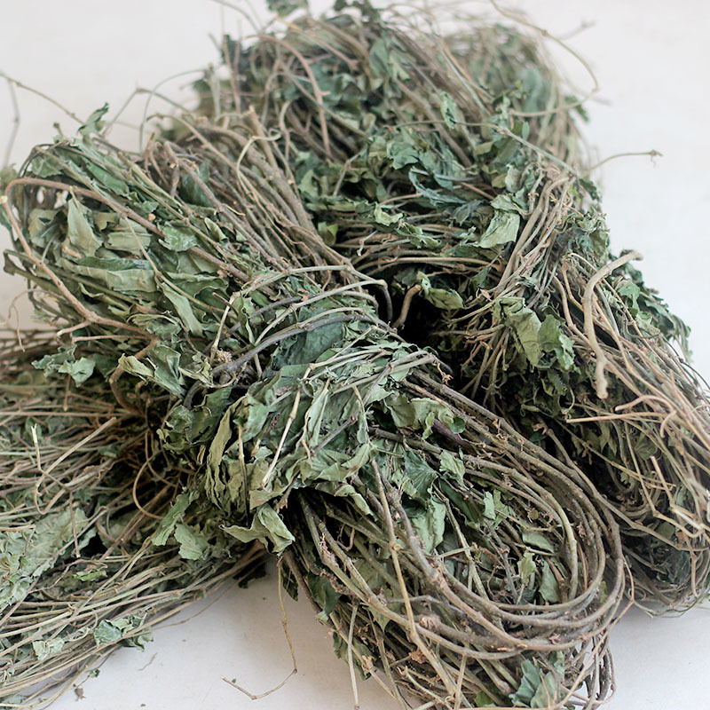小毛蒟小毛蒌绒毛胡椒十八风藤毛娄爬岩香