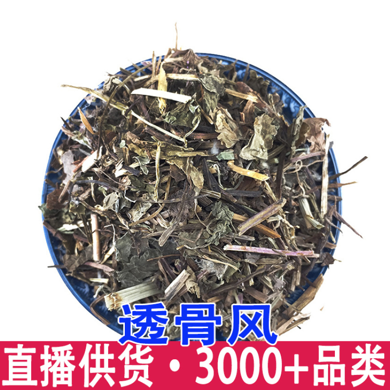 透骨消连钱草粉植物原料遍地香过墙风铜钱草