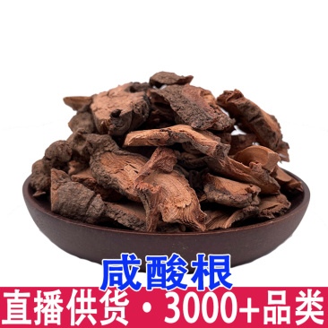 咸酸根入地龙大叶酸味根白花酸藤果根