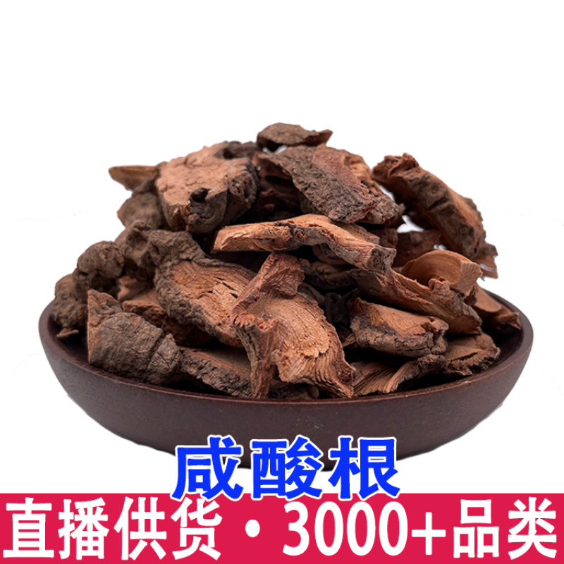 咸酸根入地龙大叶酸味根白花酸藤果根