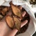 咸酸根入地龙大叶酸味根白花酸藤果根