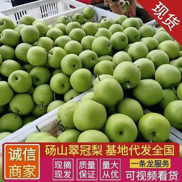 《精选》翠冠梨,砀山梨,青皮梨,皮薄多汁,安徽翠冠梨